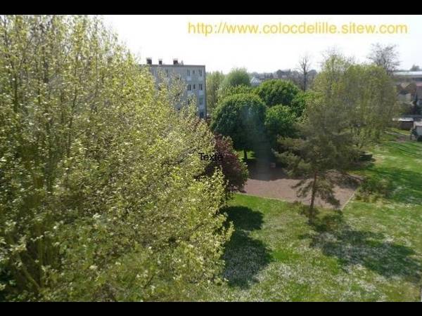 Colocation / Appartement 8 pièces de 85 m², Lille, Rue Chanzy / Photo 7
