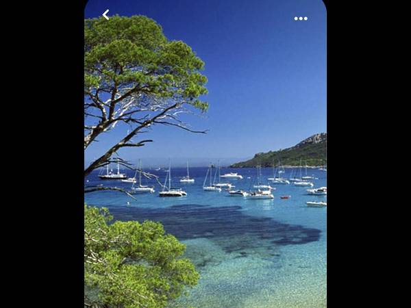 Colocation / Appartement 5 pièces de 82 m², Toulon, Rue George Sand / Photo 19