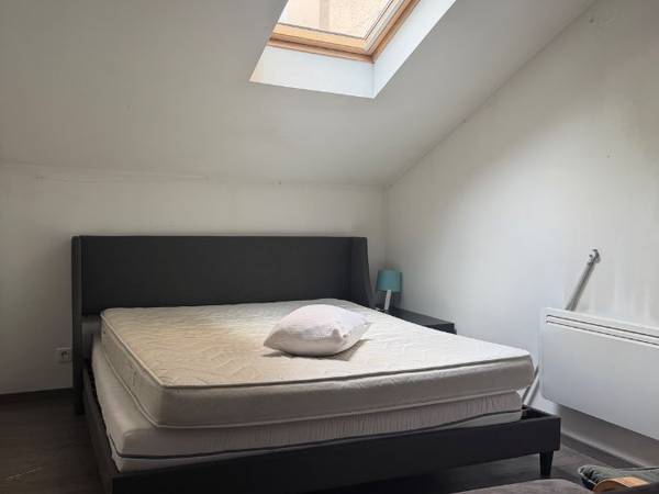 Colocation / Appartement 4 pièces de 100 m², Caluire-et-Cuire, Montée de la Boucle / Photo 6