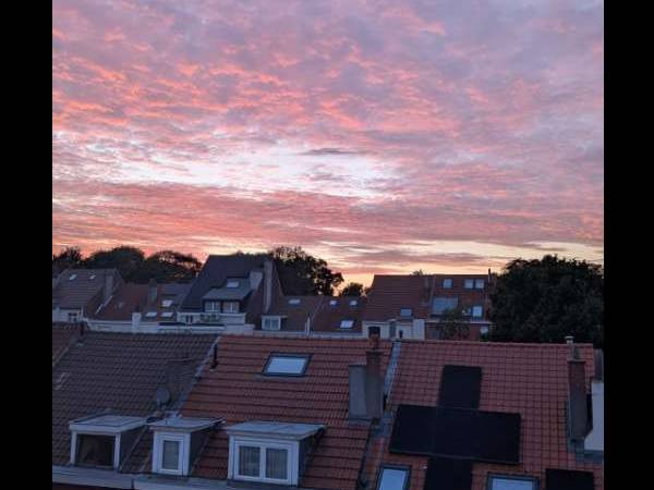 Sous-location / Appartement 4 pièces de 80 m², Woluwe-Saint-Lambert, Avenue des Rogations / Photo 6