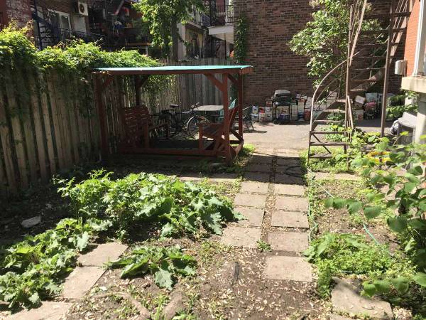 Colocation / Maison 10 pièces de 80 m², Montréal, Rue Dorion / Photo 7