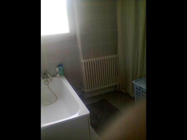 Colocation / Appartement 2 pièces de 55 m², Le Plessis-Robinson / Photo 3