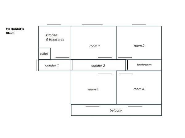 Coliving space / 4-bedroom flat · 67 m², Toulouse, Avenue Léon Blum / Photo 9