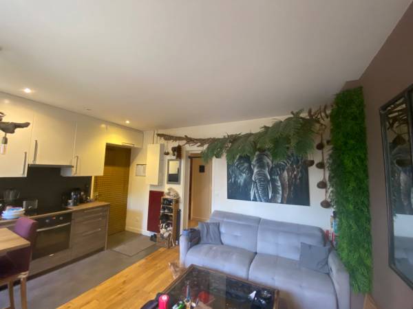 Colocation / Appartement 3 pièces de 45 m², Le Kremlin-Bicêtre, Rue Pasteur / Photo 15