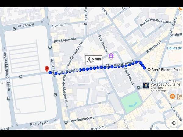 Chambre chez l'habitant / Appartement 1 pièce de 133 m², Pau, Rue Montpensier / Photo 11