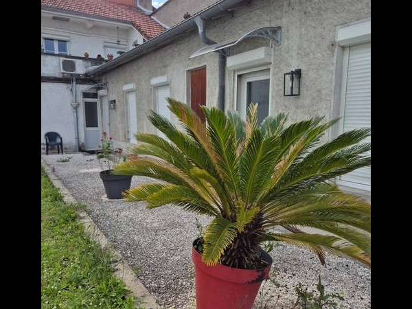 Colocation / Maison 4 pièces de 65 m², Pau, Avenue Jean Mermoz / Photo 13