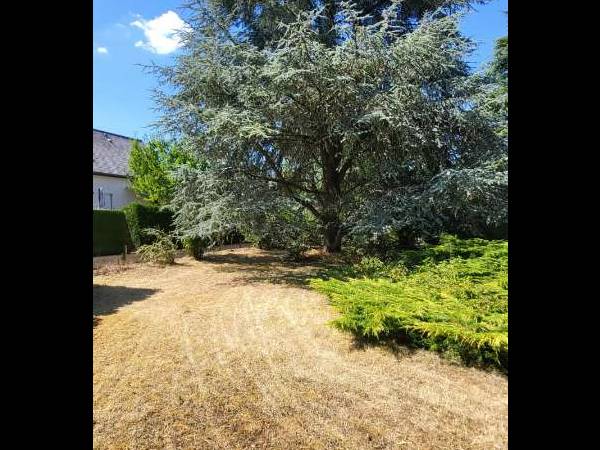 Colocation / Maison 10 pièces de 250 m², Saint-Erblon, Rue du Verger / Photo 25