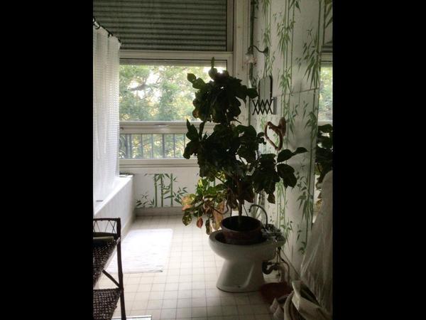 Colocation / Appartement, Neuilly-sur-Seine / Photo 2