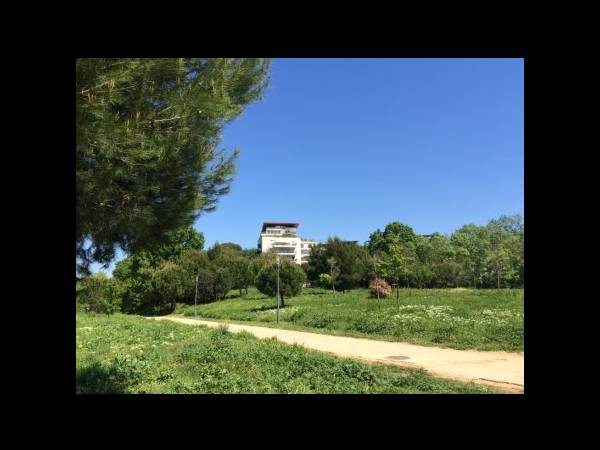 Colocation / Appartement 4 pièces de 111 m², Montpellier, Place Raphaël / Photo 13