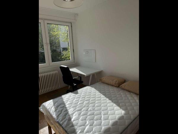 Colocation / Appartement 1 pièce de 15 m², Strasbourg, Rue Flach / Photo 2