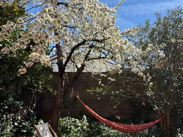 Sous-location / Villa 4 pièces de 100 m², Toulouse, Rue Roubichou / Photo 7