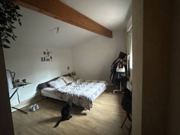 Colocation / Appartement 4 pièces de 100 m², Toulouse, Rue Héliot / Photo 2