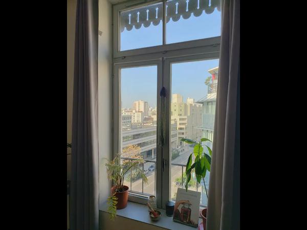 Location / Appartement 2 pièces de 36 m², Villeurbanne, Cours Emile Zola / Photo 2