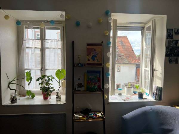 Sous-location / Appartement 2 pièces de 28 m², Strasbourg, Allée de la Robertsau / Photo 2