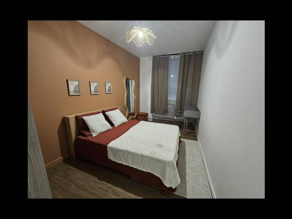 Location / Résidence 3 pièces de 65 m², Saint-Étienne, 33 Allée Chantegrillet / Photo 32