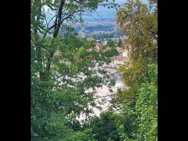 Chambre pour étudiant / Appartement 5 pièces de 140 m², Lausanne, Chemin du Salève / Photo 4