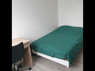 Colocation, Appartement 4 pièces, Pessac