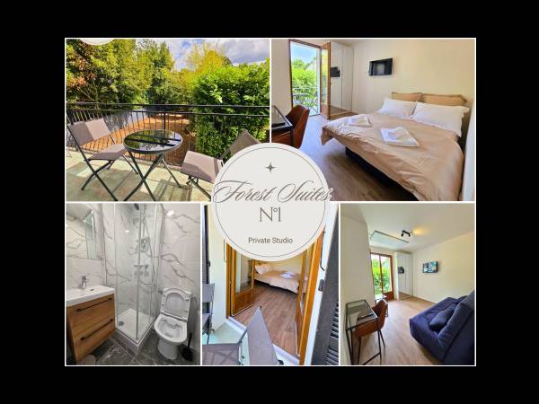 Colocation / Appartement 12 pièces de 300 m², Noisy-le-Grand, 72 Rue de la Forêt / Photo 2