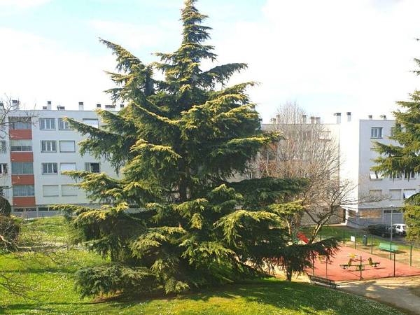 Colocation / Appartement 4 pièces de 81 m², Toulouse, Rue Marc Laffargue / Photo 5