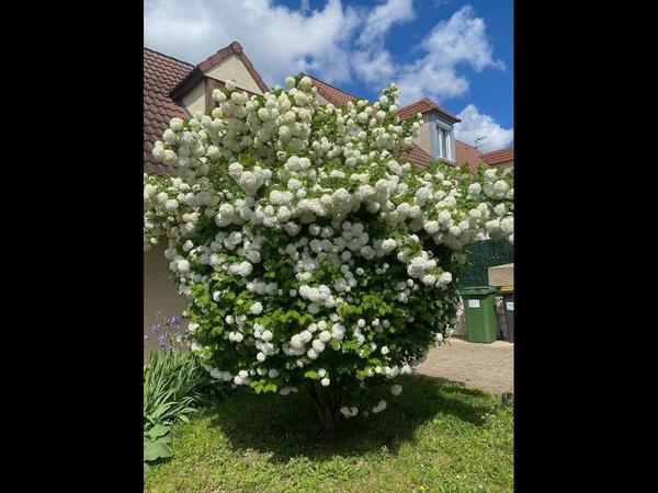 Colocation / Maison 5 pièces de 115 m², Limay, Rue des Essarts / Photo 12