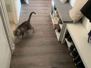 Homestay / 3-bedroom flat · 72 m², Sassenage, Chemin du Vinay