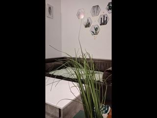 Flatsharing / 6-bedroom flat · 90 m², Champs-sur-Marne, Allée Xavier Bichat