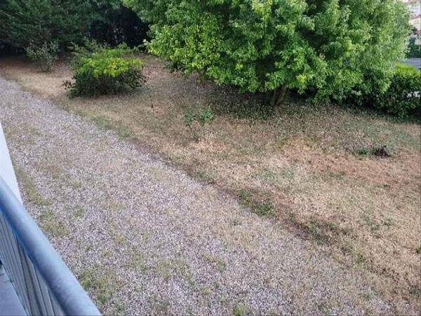 Colocation / Appartement 4 pièces de 72 m², Talence, Rue Jean Zubieta / Photo 2