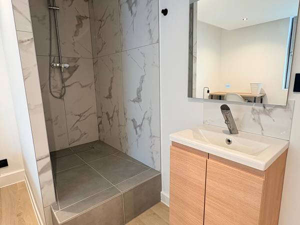 Colocation / Appartement 5 pièces de 100 m², Chambéry, Rue de Boigne / Photo 5