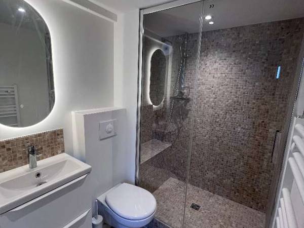 Colocation / Maison 9 pièces de 230 m², Nancy, Boulevard Albert 1er / Photo 10