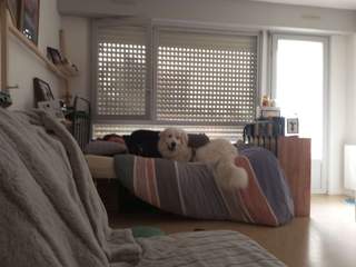 Sous-location / Studio de 22 m², Rennes, Rue Jeanne Couplan