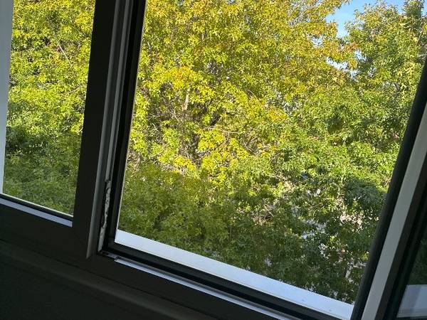 Chambre chez l'habitant / Appartement 3 pièces de 73 m², Nantes, Rue d'Ottawa / Photo 2