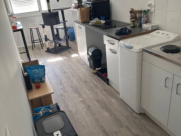 Chambre chez l'habitant / Appartement 3 pièces de 73 m², Nantes, Rue d'Ottawa / Photo 4