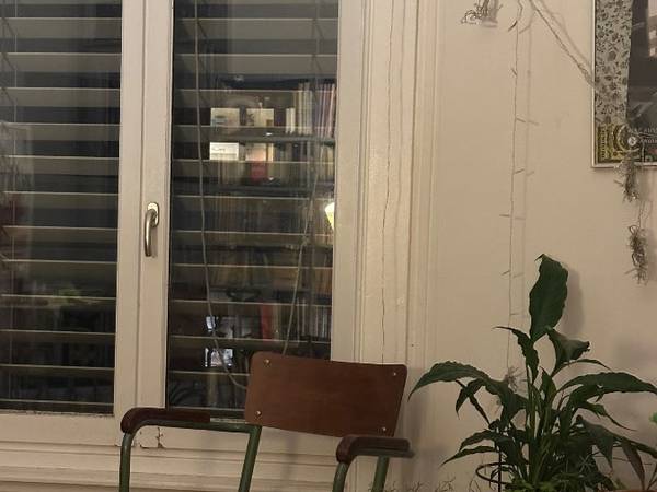 Sous-location / Appartement 4 pièces de 60 m², Villeurbanne, Cours Emile Zola / Photo 9