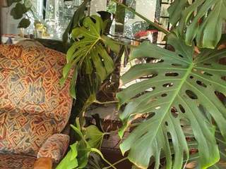Sublet / 7-bedroom house · 110 m², Montpellier, Rue Charles Bordes