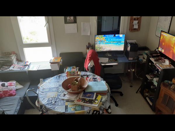 Chambre chez l'habitant / Appartement 2 pièces de 35 m², Collioure, Route du Pla de Las Fourques / Photo 2