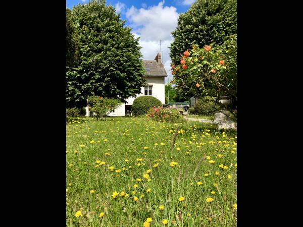 Location / Maison 2 pièces de 35 m², Orsay, Rue Louis Scocard / Photo 2