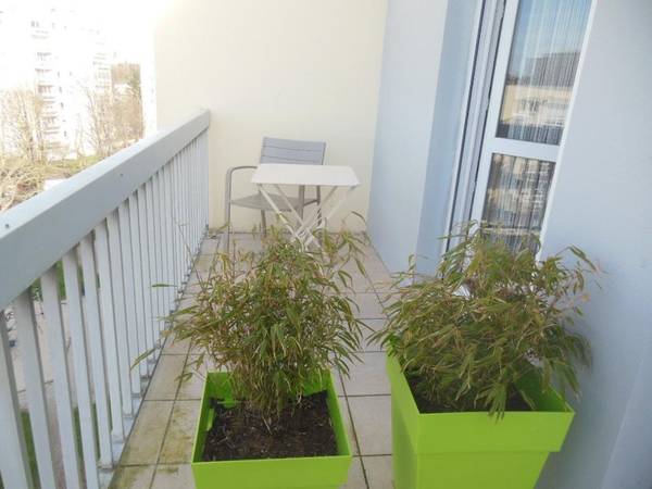 Location / Appartement, Caen / Photo 4