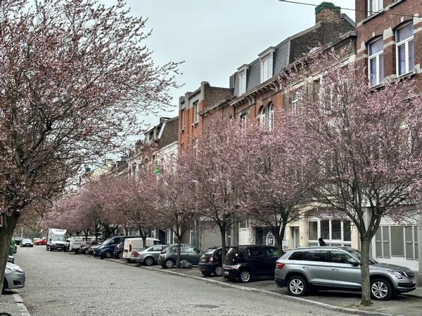 Colocation / Duplex 10 pièces de 145 m², Liège, Avenue Reine Elisabeth / Photo 10