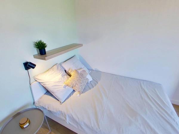 Colocation / Appartement 6 pièces de 105 m², Lyon, Rue Challemel-Lacour / Photo 12