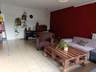 Colocation / Villa 4 pièces de 80 m², Montpellier, Rue des Muriers