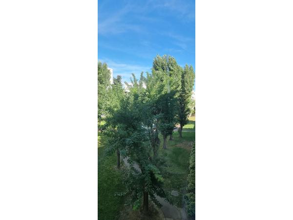 Colocation / Appartement 5 pièces de 96 m², Montpellier, Rue Guillaume Janvier / Photo 23