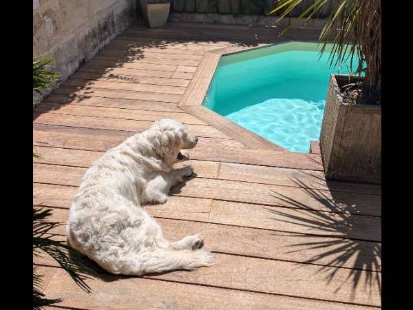 Colocation / Maison 6 pièces de 150 m², Bordeaux, Place Calixte Camelle / Photo 8