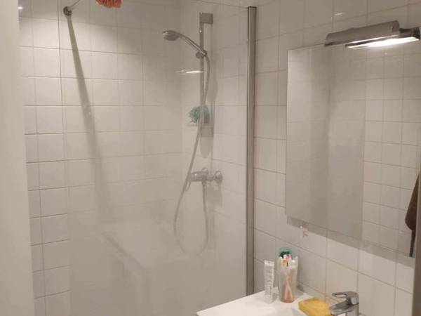 Sous-location / Duplex 4 pièces de 110 m², Villeurbanne, Avenue Paul Krüger / Photo 6