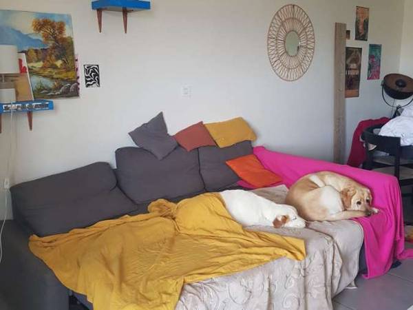 Sous-location / Appartement 5 pièces de 85 m², Toulouse, Rue Emile Pelletier / Photo 2