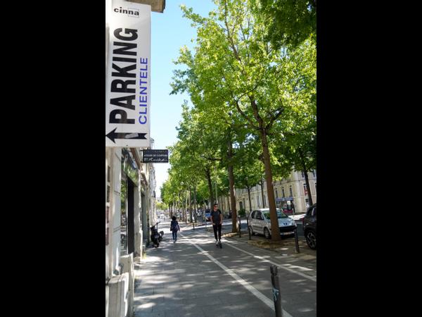 Colocation / Appartement 5 pièces de 96 m², Angers, Avenue de Contades / Photo 45