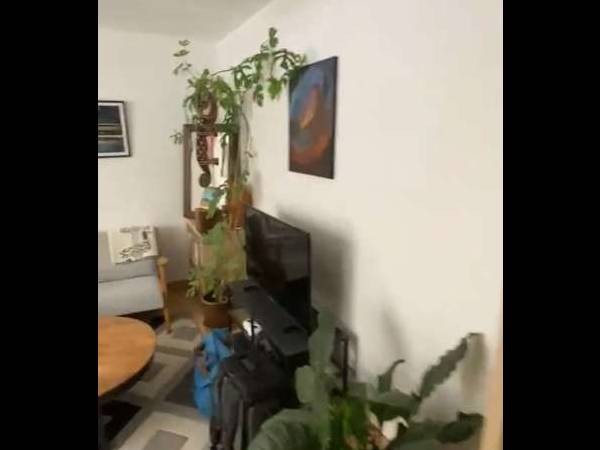 Colocation / Appartement 4 pièces de 85 m², Montpellier, Rue de Centrayrargues / Photo 7