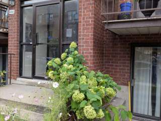 Colocation / Appartement 6 pièces de 500 m², Montréal, Rue Drolet