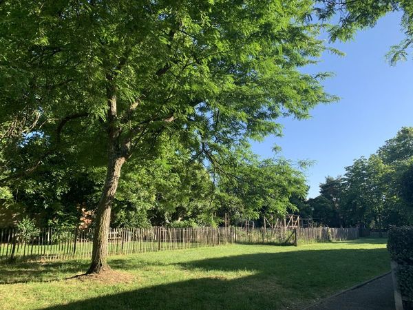 Colocation / Appartement 4 pièces de 95 m², Bordeaux, Passage des Graves / Photo 5