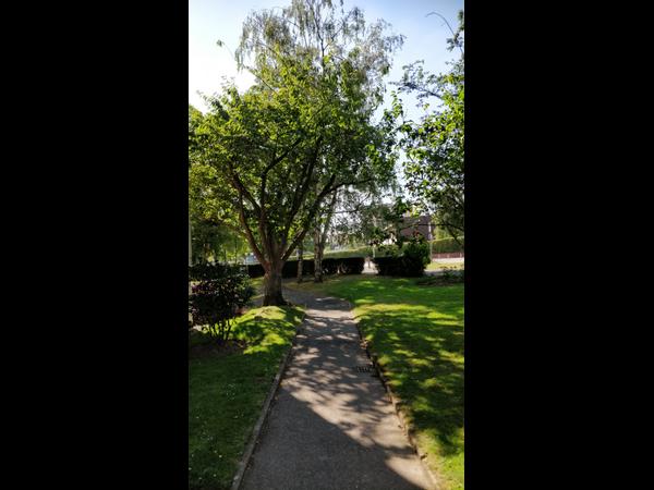 Colocation / Appartement 5 pièces de 73 m², Mont-Saint-Aignan, Parc de l’Andelle / Photo 15