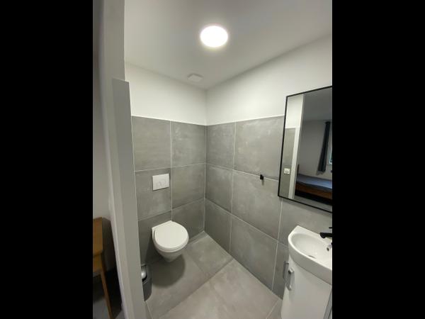 Colocation / Maison 8 pièces de 180 m², Pessac, Avenue Fanning Lafontaine / Photo 8